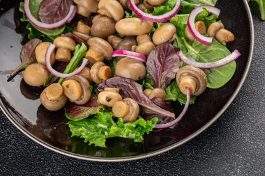 Mantar salatası yeşil marul konserve şampiyon mantarı taze gurme yemek arkaplanı masa rustik yemek üst görünüm fotokopi alanı