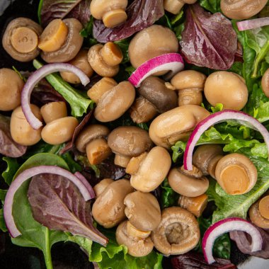Mantar salatası yeşil marul konserve şampiyon mantarı taze gurme yemek arkaplanı masa rustik yemek üst görünüm fotokopi alanı
