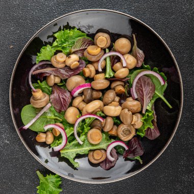 Mantar salatası yeşil marul konserve şampiyon mantarı taze gurme yemek arkaplanı masa rustik yemek üst görünüm fotokopi alanı