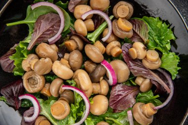 Mantar salatası yeşil marul konserve şampiyon mantarı taze gurme yemek arkaplanı masa rustik yemek üst görünüm fotokopi alanı