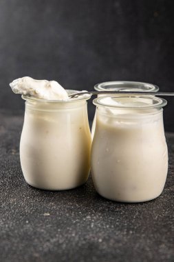 Skyr beyaz yoğurt aperatifi taze lezzetli gurme yemek arka planda masa rustik gıda fotokopi uzay keto ve paleo diyet vejetaryen gıda