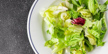 Salata karışımı buzdağı, batavya, marul, turşu, romano, arkadaş iştahlı sebzeler organik lezzetli gurme yemek arka planı masa fotokopisi alanı keto paleo diyet vejetaryen vejetaryen.
