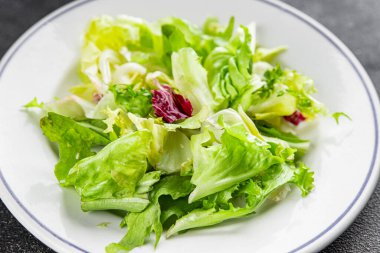 Salata karışımı buzdağı, batavya, marul, turşu, romano, arkadaş iştahlı sebzeler organik lezzetli gurme yemek arka planı masa fotokopisi alanı keto paleo diyet vejetaryen vejetaryen.