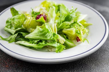 Salata karışımı buzdağı, batavya, marul, turşu, romano, arkadaş iştahlı sebzeler organik lezzetli gurme yemek arka planı masa fotokopisi alanı keto paleo diyet vejetaryen vejetaryen.