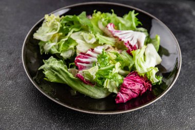 Salata karışımı buzdağı, batavya, marul, turşu, romano, arkadaş iştahlı sebzeler organik lezzetli gurme yemek arka planı masa fotokopisi alanı keto paleo diyet vejetaryen vejetaryen.