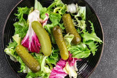 Salatalık turşusu salatalık turşusu yeşil yapraklı salatalık iştah açıcı sebzeler organik lezzetli gurme yemek arka planı masa yemeğinin üstünde fotokopi alanı vejetaryen yemekleri