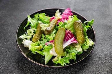 Salatalık turşusu salatalık turşusu yeşil yapraklı salatalık iştah açıcı sebzeler organik lezzetli gurme yemek arka planı masa yemeğinin üstünde fotokopi alanı vejetaryen yemekleri