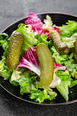Salatalık turşusu salatalık turşusu yeşil yapraklı salatalık iştah açıcı sebzeler organik lezzetli gurme yemek arka planı masa yemeğinin üstünde fotokopi alanı vejetaryen yemekleri