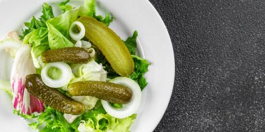 Salatalık turşusu salatalık turşusu yeşil yapraklı salatalık iştah açıcı sebzeler organik lezzetli gurme yemek arka planı masa yemeğinin üstünde fotokopi alanı vejetaryen yemekleri