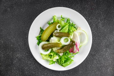 Salatalık turşusu salatalık turşusu yeşil yapraklı salatalık iştah açıcı sebzeler organik lezzetli gurme yemek arka planı masa yemeğinin üstünde fotokopi alanı vejetaryen yemekleri