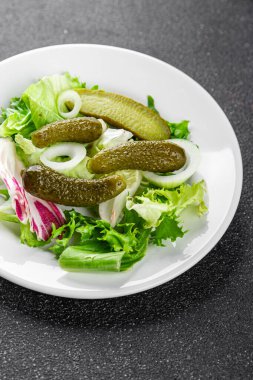 Salatalık turşusu salatalık turşusu yeşil yapraklı salatalık iştah açıcı sebzeler organik lezzetli gurme yemek arka planı masa yemeğinin üstünde fotokopi alanı vejetaryen yemekleri