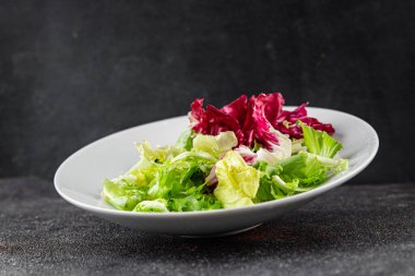 Salata yaprakları karışık buzdağı, batavya, marul, turşu, romano, arkadaş aperatifi sebzeler organik taze lezzetli gurme yemek arka planı masa fotokopisi alanı üzerinde