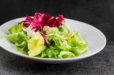 Salata yaprakları karışık buzdağı, batavya, marul, turşu, romano, arkadaş aperatifi sebzeler organik taze lezzetli gurme yemek arka planı masa fotokopisi alanı üzerinde