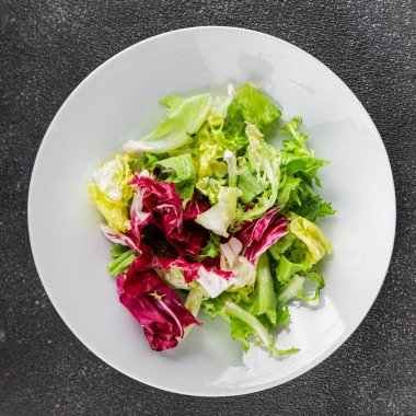 Salata yaprakları karışık buzdağı, batavya, marul, turşu, romano, arkadaş aperatifi sebzeler organik taze lezzetli gurme yemek arka planı masa fotokopisi alanı üzerinde