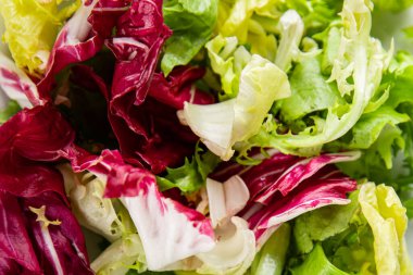 Salata yaprakları karışık buzdağı, batavya, marul, turşu, romano, arkadaş aperatifi sebzeler organik taze lezzetli gurme yemek arka planı masa fotokopisi alanı üzerinde