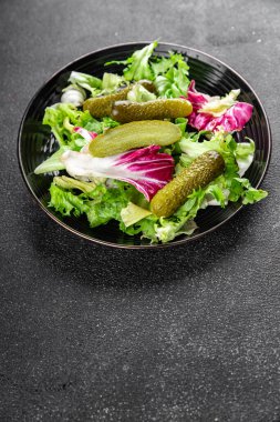 Salatalık turşusu salatalık turşusu karışık yeşil yaprak salatası iştah açıcı sebze yemeği taze organik lezzetli gurme yemek arka planı masanın üzerinde.