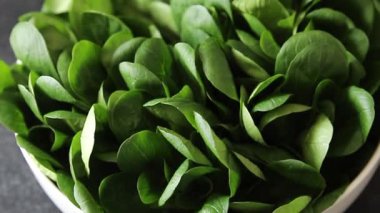 Salata fasülyesi yeşil sebze yemeği taze gurme yemek bırakır masa rustik gıda üst görünüm fotokopi alanı keto ve paleo diyet vejetaryen ve vejetaryen gıda
