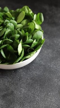 Salata fasülyesi yeşil sebze yemeği taze gurme yemek bırakır masa rustik gıda üst görünüm fotokopi alanı keto ve paleo diyet vejetaryen ve vejetaryen gıda