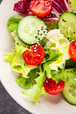 Sebze salatası, domates, salatalık, marul, yeşil yaprak marul, soğan iştah açıcı sebze, taze gurme yemek arka plan kırsal yemek fotokopi alanı keto ve paleo diyeti vejetaryen yemeği.