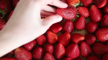 Çilek taze meyve olgun tatlı tatlı tatlı tatlı tatlı tatlı tatlı tatlı yemek masanın üzerinde lezzetli gurme yemek üst görünüm uzay keto fotokopi ve paleo diyet vejetaryen ve vejetaryen gıda