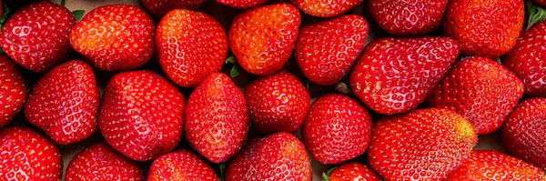 Çilek taze meyve olgun tatlı tatlı tatlı tatlı tatlı tatlı tatlı tatlı yemek masanın üzerinde lezzetli gurme yemek üst görünüm uzay keto fotokopi ve paleo diyet vejetaryen ve vejetaryen gıda