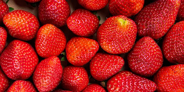 Çilek taze meyve olgun tatlı tatlı tatlı tatlı tatlı tatlı tatlı tatlı yemek masanın üzerinde lezzetli gurme yemek üst görünüm uzay keto fotokopi ve paleo diyet vejetaryen ve vejetaryen gıda