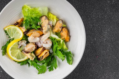 Deniz ürünleri salatası, karides, midye, kalamar, karides, karides, yeşil karışık yaprak tabağı. Köy yemeklerinin üstünde taze yemek. Fotokopi alanı, paleo diyeti, vejetaryen vejetaryen.