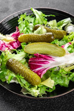 Salatalık turşusu salatalık turşusu yeşil yapraklı salatalık iştah açıcı sebzeler organik lezzetli gurme yemek arka planı masa yemeğinin üstünde fotokopi alanı vejetaryen yemekleri