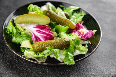 Salatalık turşusu salatalık turşusu yeşil yapraklı salatalık iştah açıcı sebzeler organik lezzetli gurme yemek arka planı masa yemeğinin üstünde fotokopi alanı vejetaryen yemekleri