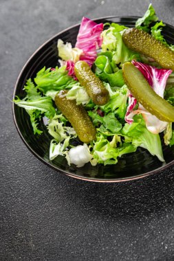 Salatalık turşusu salatalık turşusu yeşil yapraklı salatalık iştah açıcı sebzeler organik lezzetli gurme yemek arka planı masa yemeğinin üstünde fotokopi alanı vejetaryen yemekleri