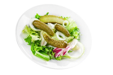Salatalık turşusu salatalık turşusu yeşil yapraklı salatalık iştah açıcı sebzeler organik lezzetli gurme yemek arka planı masa yemeğinin üstünde fotokopi alanı vejetaryen yemekleri