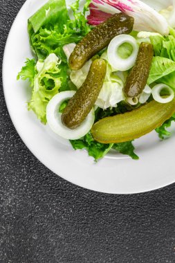 Salatalık turşusu salatalık turşusu yeşil yapraklı salatalık iştah açıcı sebzeler organik lezzetli gurme yemek arka planı masa yemeğinin üstünde fotokopi alanı vejetaryen yemekleri