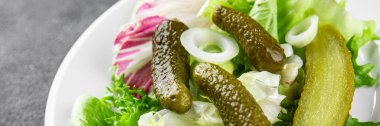 Salatalık turşusu salatalık turşusu yeşil yapraklı salatalık iştah açıcı sebzeler organik lezzetli gurme yemek arka planı masa yemeğinin üstünde fotokopi alanı vejetaryen yemekleri