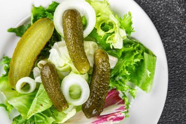 Salatalık turşusu salatalık turşusu yeşil yapraklı salatalık iştah açıcı sebzeler organik lezzetli gurme yemek arka planı masa yemeğinin üstünde fotokopi alanı vejetaryen yemekleri