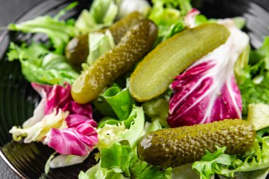Salatalık turşusu salatalık turşusu yeşil yapraklı salatalık iştah açıcı sebzeler organik lezzetli gurme yemek arka planı masa yemeğinin üstünde fotokopi alanı vejetaryen yemekleri