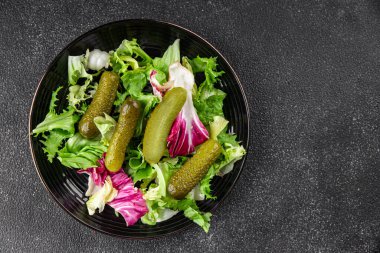 Salatalık turşusu salatalık turşusu yeşil yapraklı salatalık iştah açıcı sebzeler organik lezzetli gurme yemek arka planı masa yemeğinin üstünde fotokopi alanı vejetaryen yemekleri