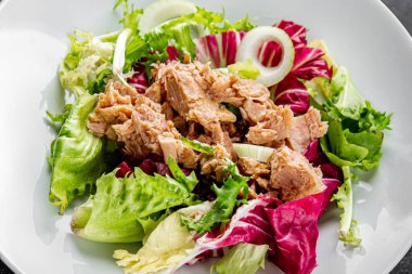 Ton balığı konservesi, yeşil yaprak, marul, meze, organik sebze, lezzetli gurme, arka plan, masa, köy manzarası, fotokopi, vejetaryen diyeti.