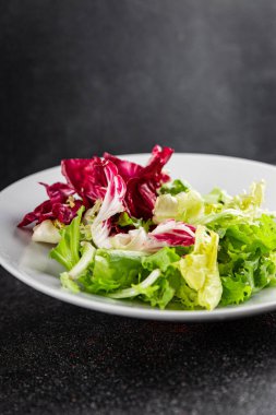 Salata karışımı buzdağı, batavya, marul, turşu, romano, arkadaş iştahlı sebzeler organik lezzetli gurme yemek arka planı masa fotokopisi alanı keto paleo diyet vejetaryen vejetaryen.