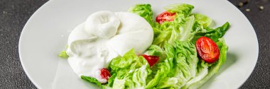 Salata burrata peynirli bufalo peynirli salata salatası salatası taze gurme yemek arkaplanı masa rustik yemekler üst görünüm fotokopi uzay keto ve paleo diyet vejetaryen