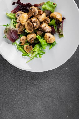 Mantar turşulu şampiyon salatası aperatifi taze lezzetli gurme yemek arka planı masanın üstünde rustik yemek fotokopi alanı keto ve paleo diyet vejetaryen ve vejetaryen yemekleri