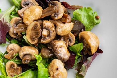 Mantar turşulu şampiyon salatası aperatifi taze lezzetli gurme yemek arka planı masanın üstünde rustik yemek fotokopi alanı keto ve paleo diyet vejetaryen ve vejetaryen yemekleri