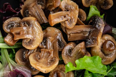 Mantar turşulu şampiyon salatası aperatifi taze lezzetli gurme yemek arka planı masanın üstünde rustik yemek fotokopi alanı keto ve paleo diyet vejetaryen ve vejetaryen yemekleri