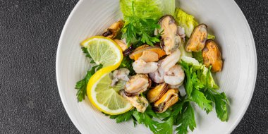 Deniz ürünleri salatası, karides, midye, kalamar, karides, karides, yeşil karışık yaprak tabağı. Köy yemeklerinin üstünde taze yemek. Fotokopi alanı, paleo diyeti, vejetaryen vejetaryen.