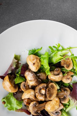 Şampiyon mantarlar salata aperatifi taze gurme yemek arkaplanı masadaki rustik yiyecekler fotokopi alanı vejetaryen yemekleri.