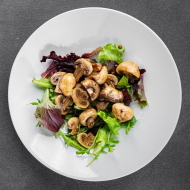 Şampiyon mantarlar salata aperatifi taze gurme yemek arkaplanı masadaki rustik yiyecekler fotokopi alanı vejetaryen yemekleri.