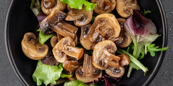 Şampiyon mantarlar salata aperatifi taze gurme yemek arkaplanı masadaki rustik yiyecekler fotokopi alanı vejetaryen yemekleri.