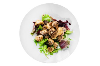 Mantar turşulu şampiyon salatası aperatifi taze lezzetli gurme yemek arka planı masanın üstünde rustik yemek fotokopi alanı keto ve paleo diyet vejetaryen ve vejetaryen yemekleri