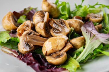 Mantar turşulu şampiyon salatası aperatifi taze lezzetli gurme yemek arka planı masanın üstünde rustik yemek fotokopi alanı keto ve paleo diyet vejetaryen ve vejetaryen yemekleri