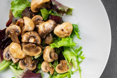 Mantar turşulu şampiyon salatası aperatifi taze lezzetli gurme yemek arka planı masanın üstünde rustik yemek fotokopi alanı keto ve paleo diyet vejetaryen ve vejetaryen yemekleri