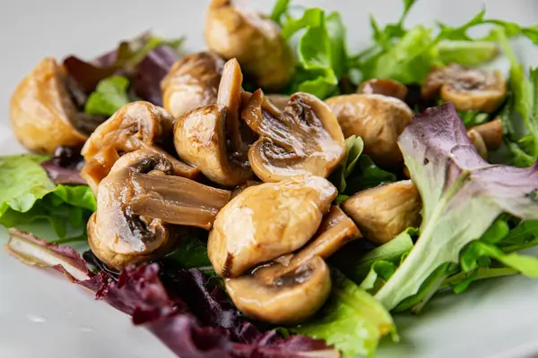 Mantar turşulu şampiyon salatası aperatifi taze lezzetli gurme yemek arka planı masanın üstünde rustik yemek fotokopi alanı keto ve paleo diyet vejetaryen ve vejetaryen yemekleri